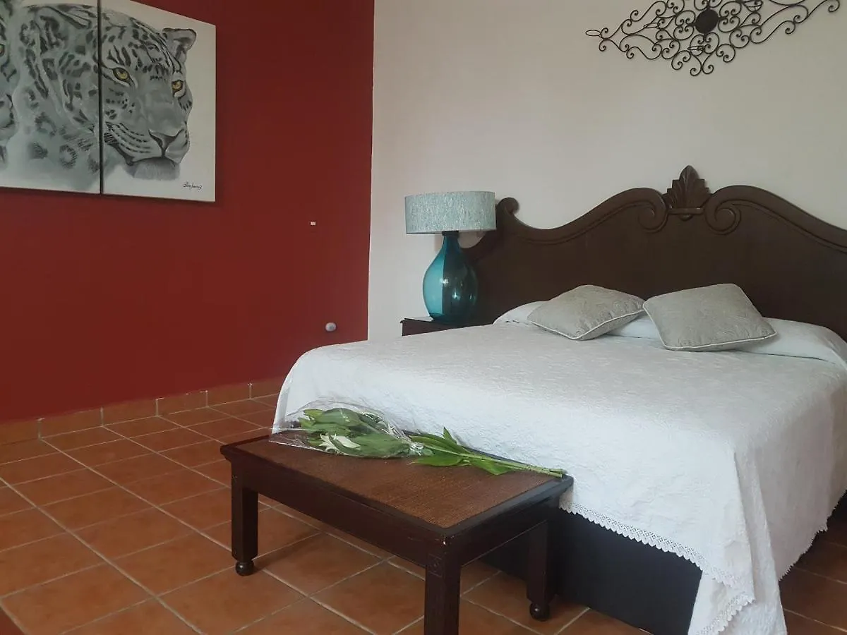 Dom wakacyjny Hacienda Los Alamos Bed & Breakfast Cancún